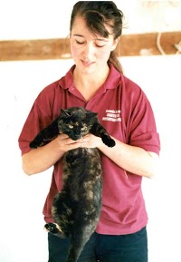 Amanda Suttons Animal Physiotherapy 264188 Image 1