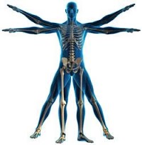 PC Physiotherapy 266104 Image 1